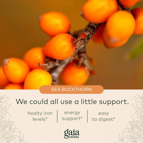 Gaia Herbs Plant Force Liquid Iron - 8.5 Fl Oz Vegetarian Supplement for Healthy Iron & Energy Levels - 25 Servings