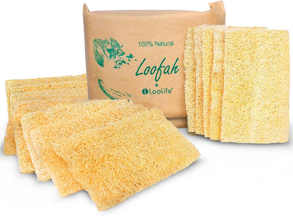 Natural Loofah Kitchen Sponge, XL 10 Pack Natural Sponges for Dishes, Eco Friendly Compostable Biodegradable Kitchen