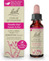 Bach Original Flower Remedies, Star of Bethlehem for Grief and Shock, Natural Homeopathic Flower Essence, Vegan, 10mL