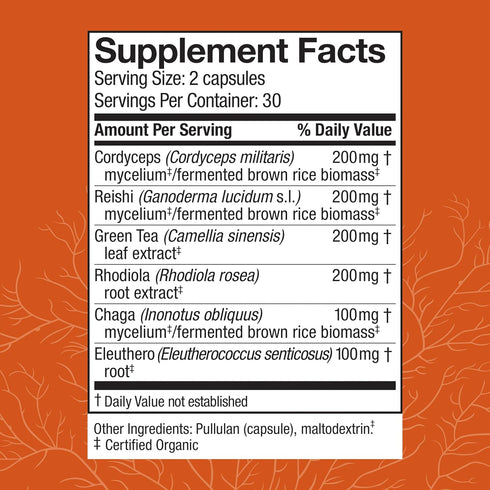 Host Defense MycoBotanicals Energy* Capsules - Energy & Respiratory Support Supplement - Herbal Green Tea Capsules - Respiratory Supplement with Cordyceps, Reishi & Chaga - 60 Capsules (30 Servings)*