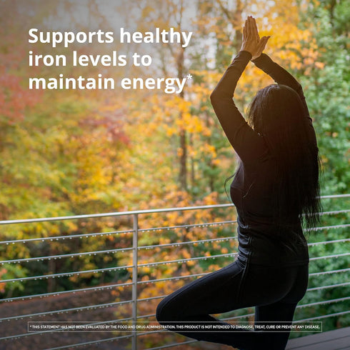 Floradix Iron & Herbs - 8.5 oz Liquid Herbal Supplement for Energy Support with Vitamin C & B Complex