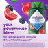 Vitafusion Power+ Men's Multivitamin - Essential Nutrients for Men