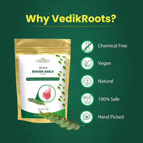 Organic Bhumi Amla Powder - Rich in Antioxidant Vitamin C - Supports Healthy Immune Function 100Gm