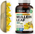 BIO KRAUTER Mullein Capsules for Lung Detox 1200 mg - 250 Count - Vegan Mullein Leaf Capsules for Respiratory Support -