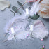 6PCS Empty Nail Polish Bottles with Brush, White Cap, 5ML Clear Glass Refillable Bottles with Mixing Beads & Funnels