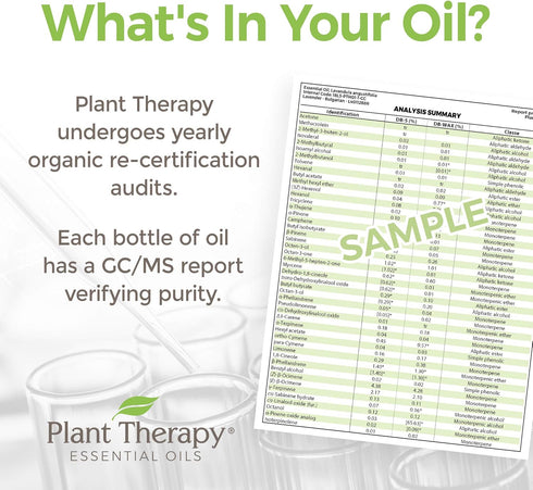 Plant Therapy Organic Black Spruce Essential Oil - 10 mL (1/3 oz) 100% Pure, Therapeutic Grade