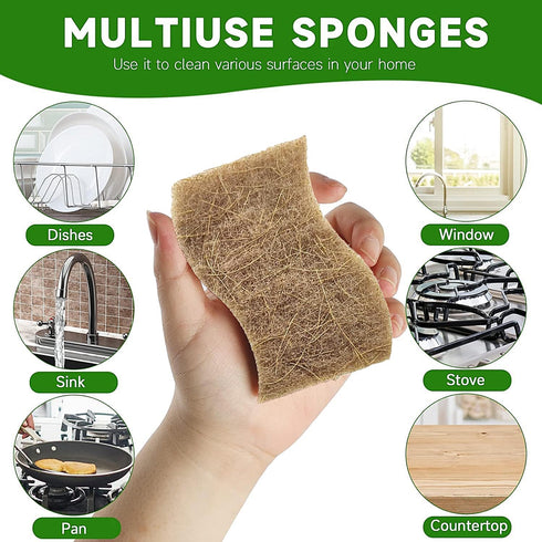 10 Pack No-Scratch Eco-Friendly Dish Sponges, Natural Kitchen Sponges for Washing & Cleaning