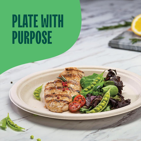 10 Inch Paper Plates, 125-Pack, 100% Compostable Heavy Duty Disposable, Eco-Friendly, Biodegradable Bagasse