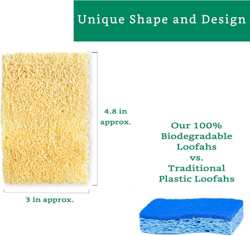 Natural Loofah Kitchen Sponge (XL - 10 Pack) - Natural Sponges for Dishes - Eco Friendly Sponges - Compostable Sponge - Biodegradable Sponges Kitchen - Natural Plant Based Kitchen Sponge by LooLife