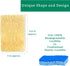 Natural Loofah Kitchen Sponge (XL - 10 Pack) - Natural Sponges for Dishes - Eco Friendly Sponges - Compostable Sponge - Biodegradable Sponges Kitchen - Natural Plant Based Kitchen Sponge by LooLife