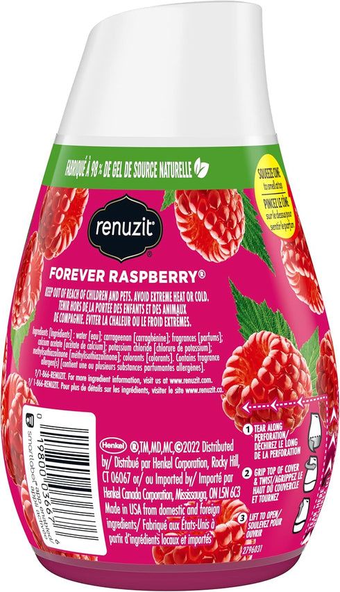 Renuzit Adjustable Solid Gel Air Freshener Cone, Forever Raspberry, 7 Ounces, Nonstop Freshness