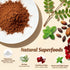 Immune 7.4 oz., 30 Moringa Hot Cocoa Sleep Aid, Pure Moringa Powder Mix with Cocoa Powder - Supports Energy, Support