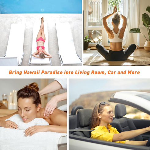 ESSLUX Fragrance Oil Set - Hawaii Scented Oils for Candle Making, Soap Making, and Diffuser Fresh Scents - 6x10ml.