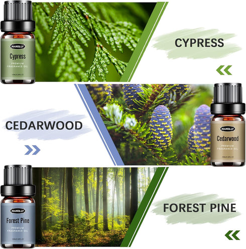 Woody Essential Oils Set - Men Scents Fragrance Oil Aromatherapy Kit for Diffuser (6x10ML)
