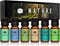 P&J Fragrance Oil Nature Set, Forest Pine, Ocean Breeze, Rain, Fresh Cut Grass, Sandalwood