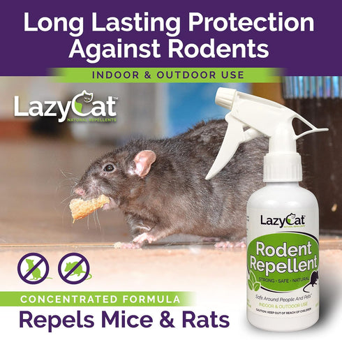 Peppermint Oil Spray for Rodents Plus Cinnamon Oil - MAX Power Mouse Repellent for Home RV Campers Boats Car Engines – Repel Mice and Rats from House Non-Staining 2X Strength (2 Pack) by Lazy Cat