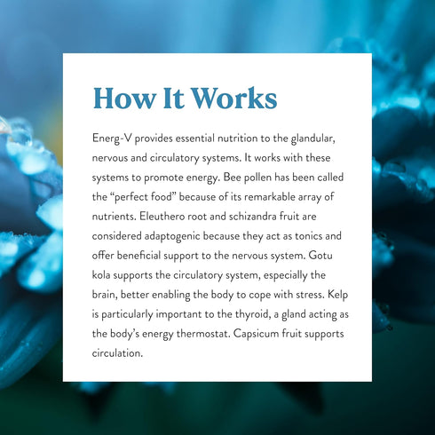 Nature's Sunshine Energ-V - 100 Capsules