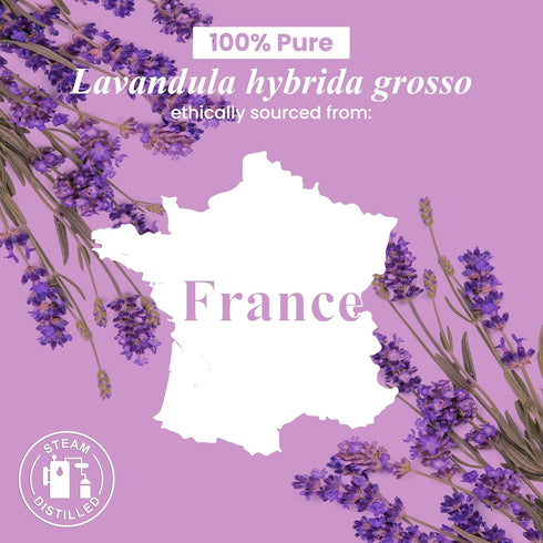 Set: (2 4 Oz) 100% Handcraft Blends Calm & Happiness Lavender and Orange Essential Oils x Fl Pure & Natural
