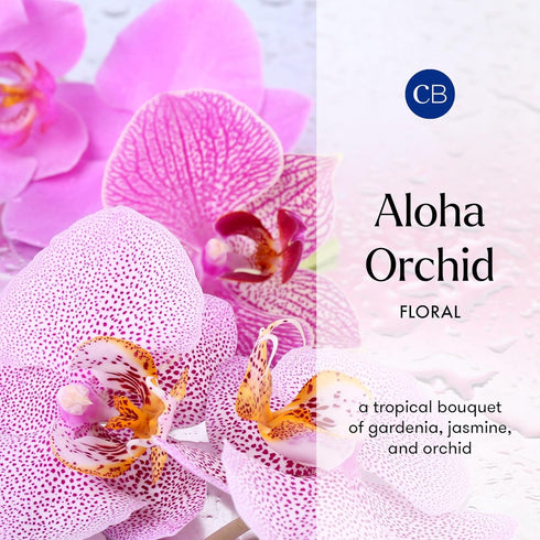 Set (8 oz) Capri Blue Aloha Orchid Reed Diffuser - Includes Reed Diffuser Sticks, Fragrance Oil, and Glass Bottle