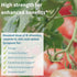 Advanced Men's Multivitamin by Igennus, High Strength Formula, Methylated B-Vitamins MTHFR Supplement, Vegan, Daily