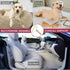 Pack of 2 Pet Hair Remover, Ultimate Tool for Dog and Cat Hair Removal from Couch, Carpet, Car Upholstery, and Clothes