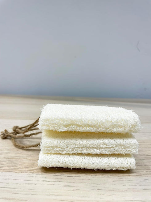 4" Plant Sponge, 100% Natural Loofah Dish Sponges, 24 Pack, Kitchen Scrubber Loofahs