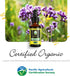 Louianna Organic Wild Oregano Oil Drops, Pure Oil of Oregano with 80% Carvacrol, 30 mL