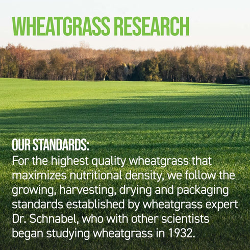 On Target Living Wheatgrass Tablets - 500 Tablets | USDA Organic Dietary Supplement