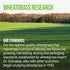 On Target Living Wheatgrass Tablets - 500 Tablets | USDA Organic Dietary Supplement