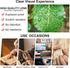 OCCI CHIARI Fashion Cateye Women Glasses, Nerd Reader No Magnification Clear Glasses (Transparent)