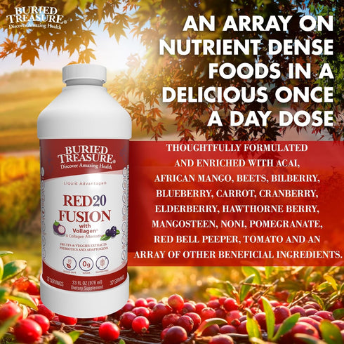 Buried Treasure Red20 Fusion - Liquid Reds SuperFood Powder - Antioxidants, Beet Root, Elderberry, Green Tea, Prebiotics