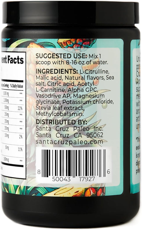 Santa Cruz Paleo Natural Pre Workout Powder, Pineapple, Keto Electrolytes with Magnesium, 30 Servings for Energy &