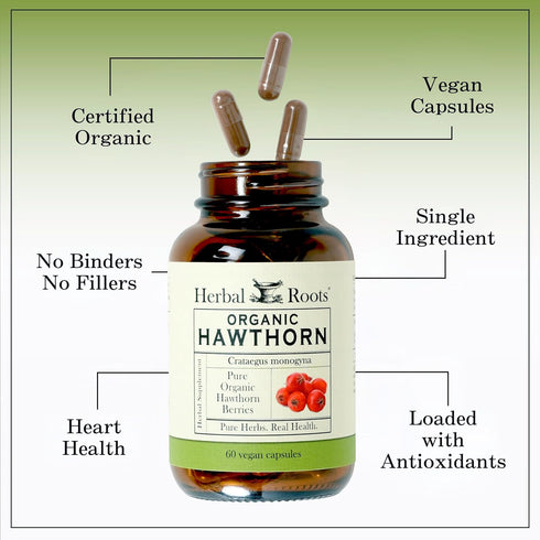 Herbal Roots Organic Hawthorn Berry Capsules - Extra Strength 1,200mg per Serving, 60 Vegan Capsules