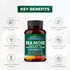 Sea Moss Black Seed Oil Ashwagandha Ginger Burdock Root Turmeric Black Pepper | All in 1 Supplement, 60 Capsules | Seamoss Pills for Men & Women | Made in USA