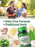 Odorless Garlic 2400 mg | 120 Softgel Capsules | High Strength Extract Pills | Non-GMO, Gluten Free | by Nature's Truth