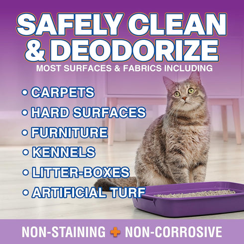 Stain and Odor Remover, 16 oz Ready to Use Spray, Lavender Scented Pet Odor Eliminator for Carpet and Furniture