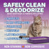 Stain and Odor Remover, 16 oz Ready to Use Spray, Lavender Scented Pet Odor Eliminator for Carpet and Furniture