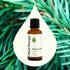 Plant Therapy Balsam Fir Essential Oil – 30 mL (1 oz) 100% Pure, Undiluted, Therapeutic Grade