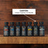 Live Bearded Beard Oil, 1 fl oz - Premium All-Natural Jojoba Hair and Skin Care for Men, Canyon Scent