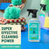 Aunt Fannie's All Purpose Household Cleaner, Multi-surface Spray Powered by Vinegar, Eucalyptus Scent (Pack of 1)