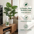 Silk Plant Cleaner Spray No Wipe, Artificial Plant Cleaner Cleaner, Removes Dust & Restores Fresh Natural Look, Easy