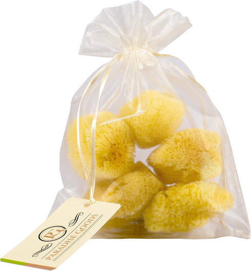 Natural Yellow Sea Silk Sponges, Pack of 5 in Organza Bag, Great for Cosmetic Use