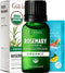 Gya Labs USDA Certified Organic Rosemary Essential Oil, 100% Pure Natural Oil for Hair, Skin & Diffuser