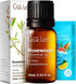 Set Set 2x0.34 oz Rosewood Oil for Skin & Sandalwood Essential Oils for Diffuser - Aromatherapy Grade Essential Oils