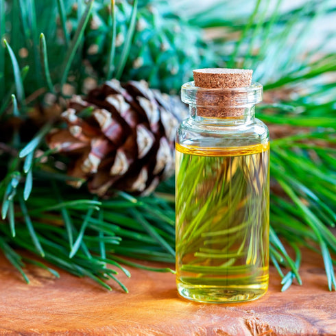 Set 100% (3pcs 10ml) Forest Magic - Organic Essential Oils - Scotch Pine + Juniper + Silver Fir - Pure and Natural