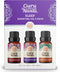 GuruNanda Sleep Essential Oil Set (Pack of 3 x 0.34 Fl Oz) - Pure Cedarwood, Frankincense & Lavender Oils