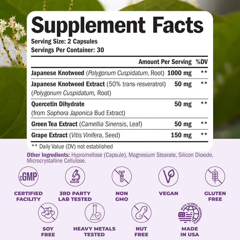 Japanese Knotweed Capsules - 1000mg Resveratrol Supplement with Green Tea Extract, 60 Caps