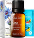 Set Set 2x0.34 oz Lotus Essential Oil for Skin & Rose Essential Oils for Skin - Aromatherapy Grade Essential Oils - fl