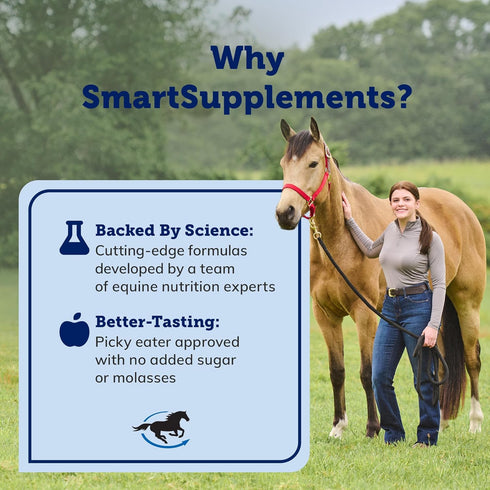 SmartPak Smart & Simple MSM Pellets, 2.6 lb Bucket | Horse Supplement Aids in Cellular and Tissue Strengthening, Helps