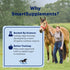 SmartPak Smart & Simple MSM Pellets, 2.6 lb Bucket | Horse Supplement Aids in Cellular and Tissue Strengthening, Helps